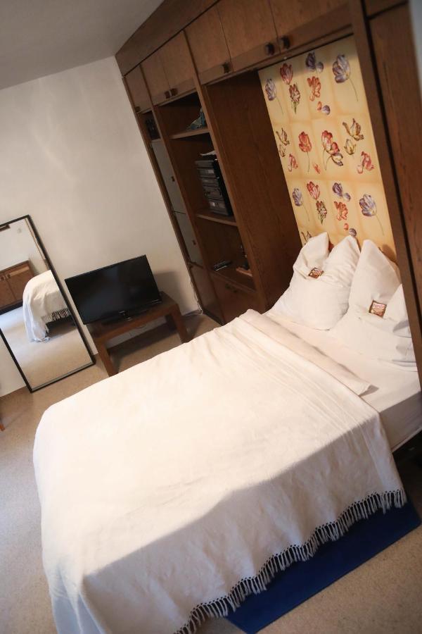 Apartment Centrum Im Gruenen Nuremberg Bagian luar foto